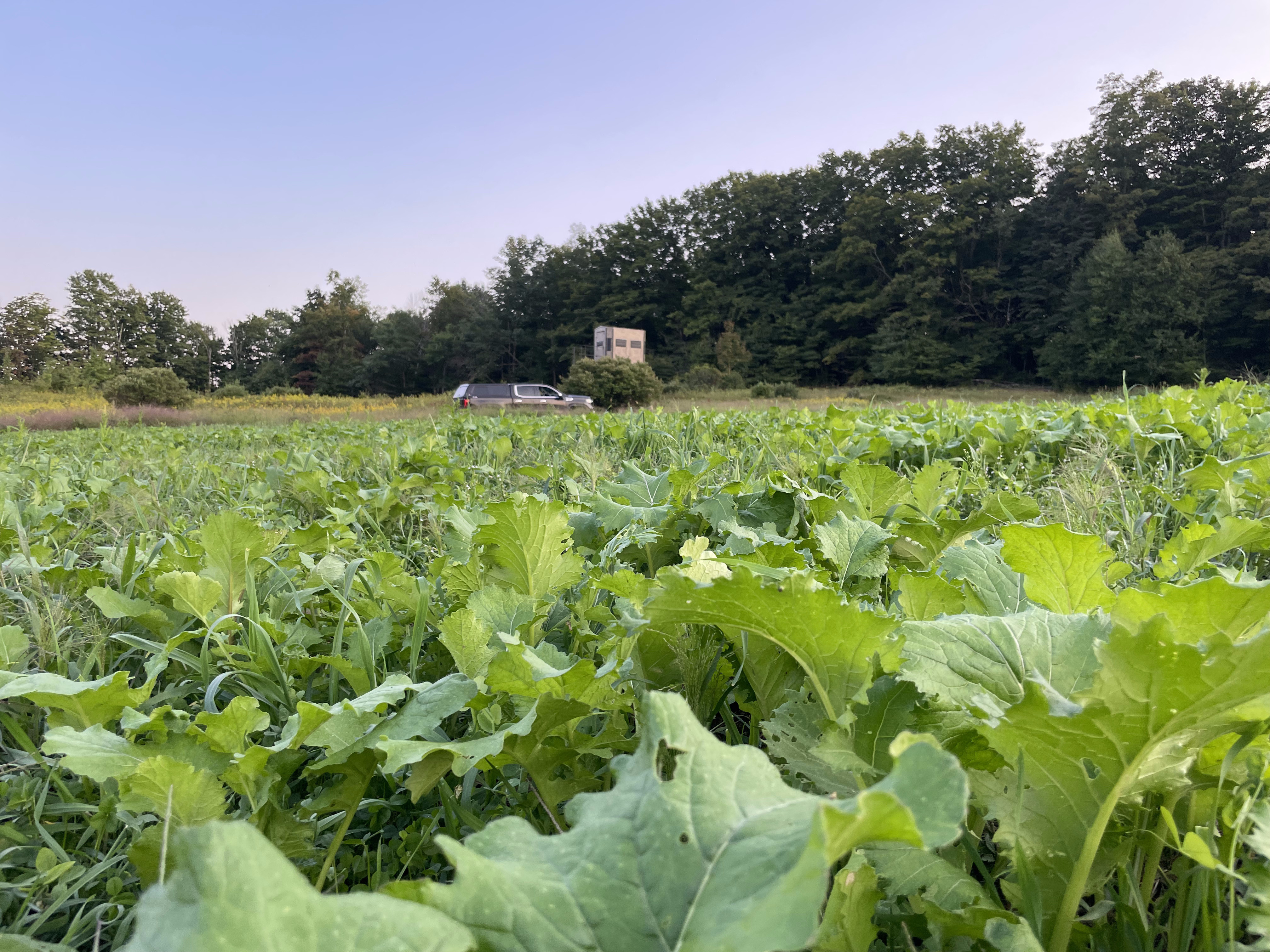 Shadow Hunter Installs